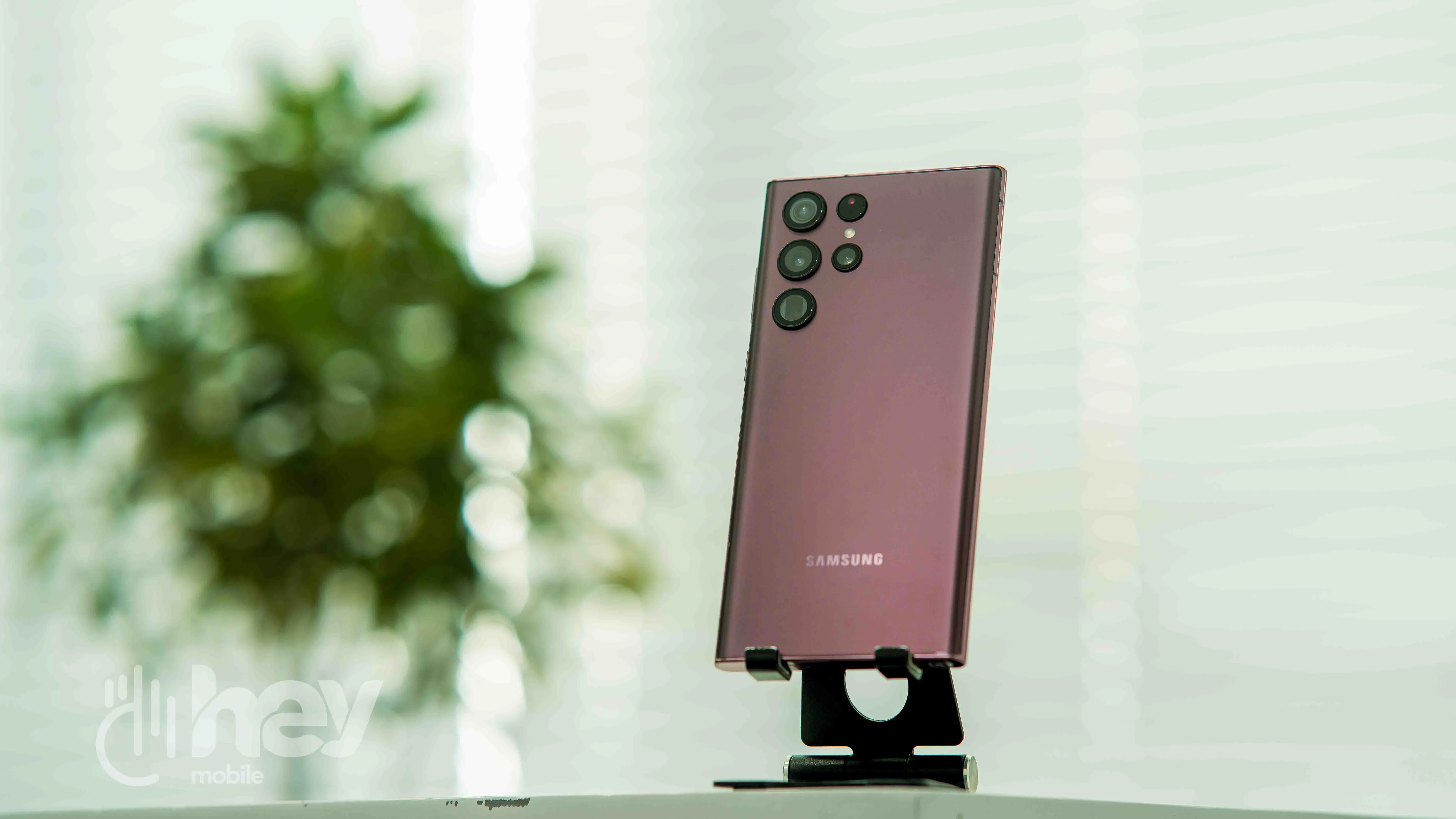 model image 1